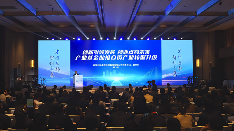 taptap党委书记、董事长赖文利在2026自贡人才创新发展大会作“自贡市产业转型升级引导基金”推介